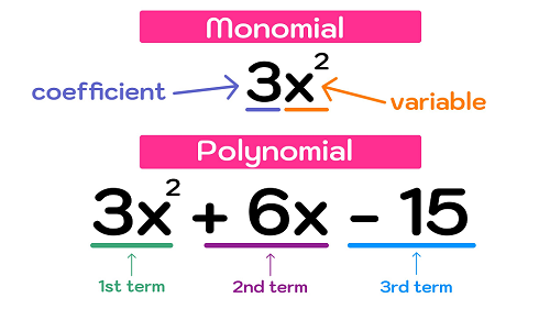 Polynomials Example